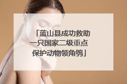 蓝山县成功救助一只国家二级重点保护动物领角鸮