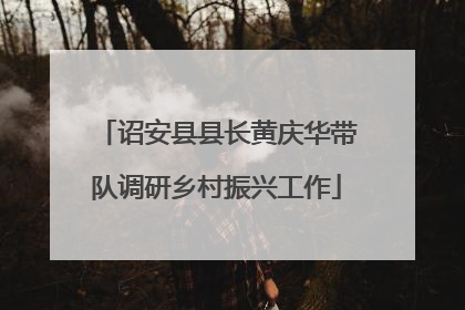 诏安县县长黄庆华带队调研乡村振兴工作