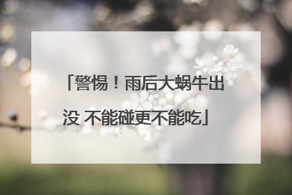警惕！雨后大蜗牛出没 不能碰更不能吃