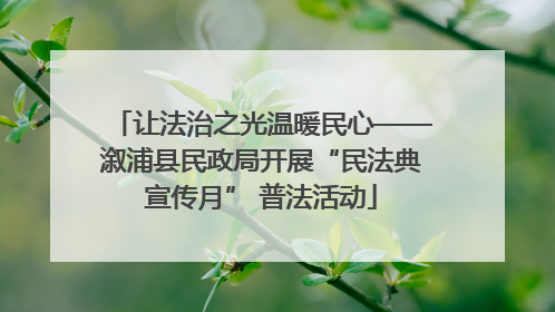让法治之光温暖民心——溆浦县民政局开展“民法典宣传月” 普法活动