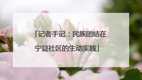 记者手记：民族团结在宁夏社区的生动实践