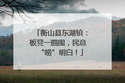 衡山县东湖镇：板凳一圈围，民意“唠”明白！