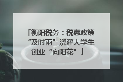 衡阳税务：税惠政策“及时雨”浇灌大学生创业“向阳花”