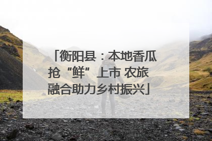 衡阳县：本地香瓜抢“鲜”上市 农旅融合助力乡村振兴
