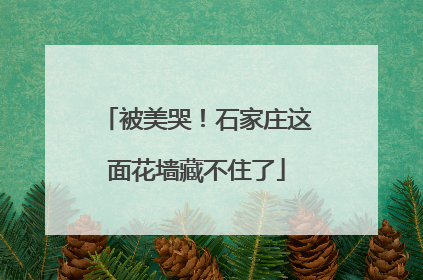 被美哭！石家庄这面花墙藏不住了