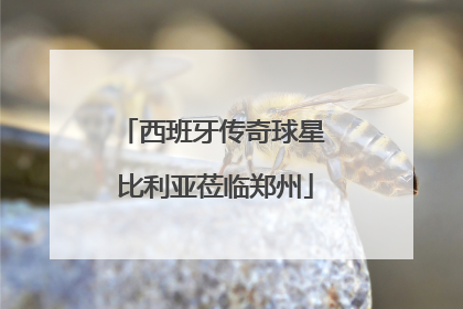 西班牙传奇球星 比利亚莅临郑州
