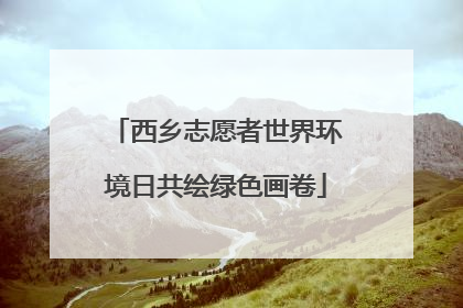 西乡志愿者世界环境日共绘绿色画卷