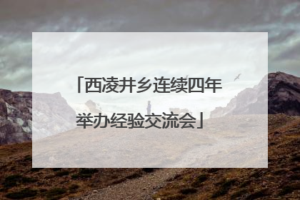 西凌井乡连续四年举办经验交流会