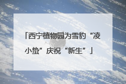 西宁植物园为雪豹“凌小蛰”庆祝“新生”