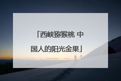 西峡猕猴桃 中国人的阳光金果