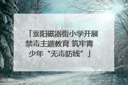 襄阳磁器街小学开展禁毒主题教育 筑牢青少年“无毒防线”