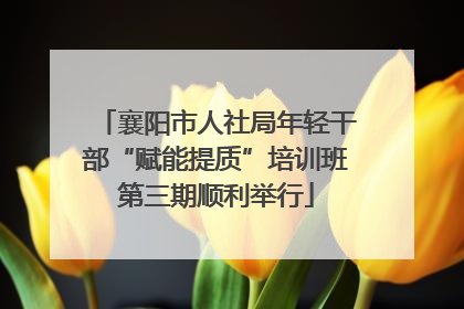 襄阳市人社局年轻干部“赋能提质”培训班第三期顺利举行