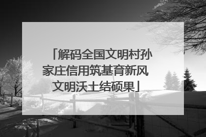 解码全国文明村孙家庄信用筑基育新风文明沃土结硕果