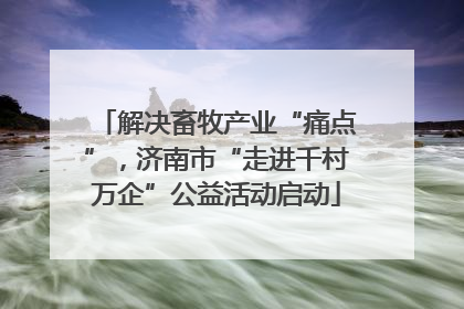 解决畜牧产业“痛点”，济南市“走进千村万企”公益活动启动