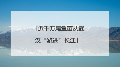 近千万尾鱼苗从武汉“游进”长江