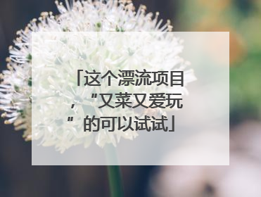 这个漂流项目，“又菜又爱玩”的可以试试