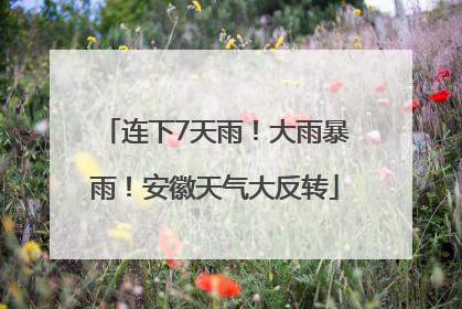 连下7天雨！大雨暴雨！安徽天气大反转