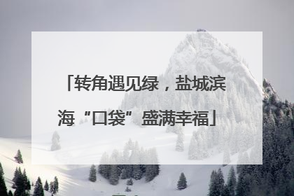 转角遇见绿，盐城滨海“口袋”盛满幸福