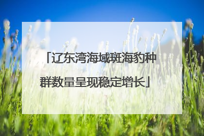 辽东湾海域斑海豹种群数量呈现稳定增长
