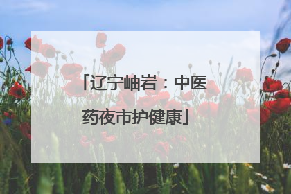 辽宁岫岩：中医药夜市护健康