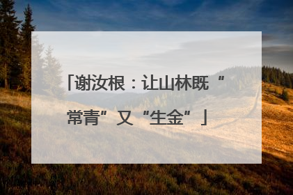 谢汝根：让山林既“常青”又“生金”