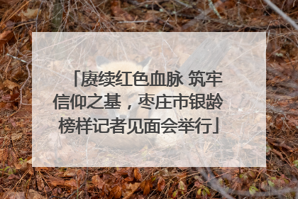 赓续红色血脉 筑牢信仰之基，枣庄市银龄榜样记者见面会举行