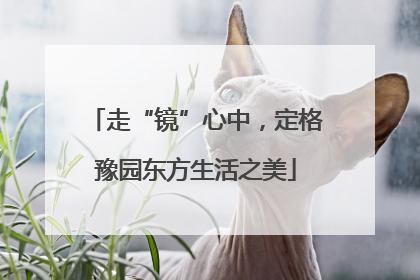走“镜”心中，定格豫园东方生活之美