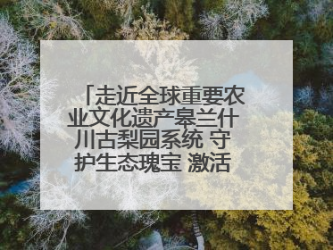 走近全球重要农业文化遗产皋兰什川古梨园系统 守护生态瑰宝 激活发展动能