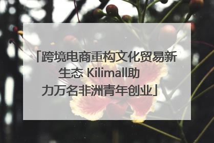 跨境电商重构文化贸易新生态 Kilimall助力万名非洲青年创业