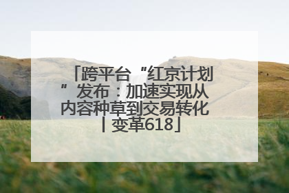 跨平台“红京计划”发布：加速实现从内容种草到交易转化丨变革618