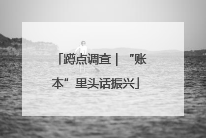 蹲点调查｜“账本”里头话振兴