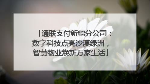 通联支付新疆分公司：数字科技点亮沙漠绿洲，智慧物业焕新万家生活