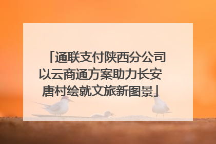 通联支付陕西分公司以云商通方案助力长安唐村绘就文旅新图景