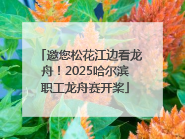 邀您松花江边看龙舟！2025哈尔滨职工龙舟赛开桨