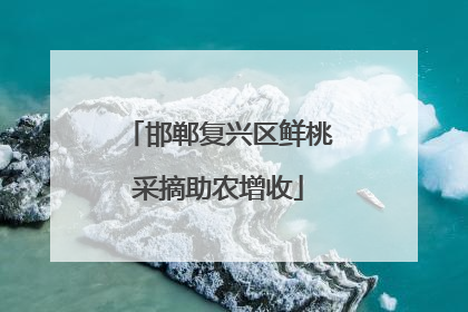 邯郸复兴区鲜桃采摘助农增收