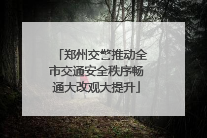 郑州交警推动全市交通安全秩序畅通大改观大提升