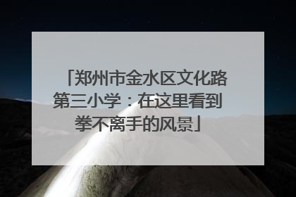 郑州市金水区文化路第三小学：在这里看到拳不离手的风景