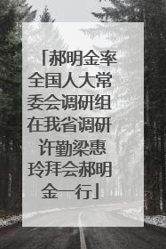 郝明金率全国人大常委会调研组在我省调研 许勤梁惠玲拜会郝明金一行