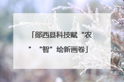 郧西县科技赋“农”“智”绘新画卷