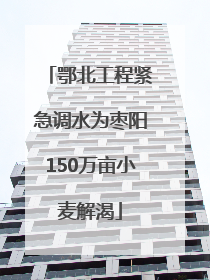 鄂北工程紧急调水为枣阳150万亩小麦解渴