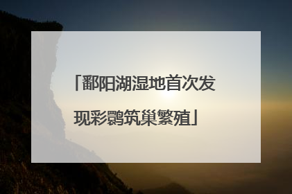 鄱阳湖湿地首次发现彩鹮筑巢繁殖