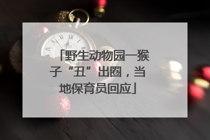 野生动物园一猴子“丑”出圈，当地保育员回应