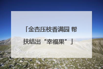 金杏压枝香满园 帮扶结出“幸福果”