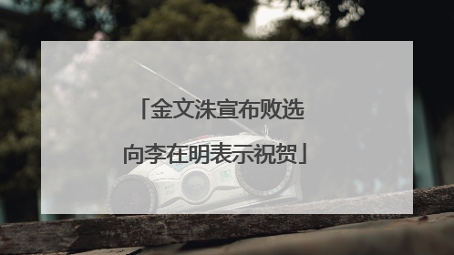 金文洙宣布败选 向李在明表示祝贺