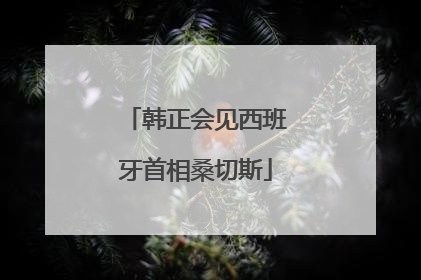 韩正会见西班牙首相桑切斯