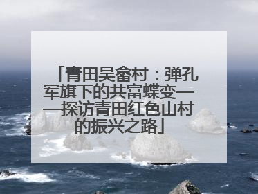青田吴畲村：弹孔军旗下的共富蝶变——探访青田红色山村的振兴之路