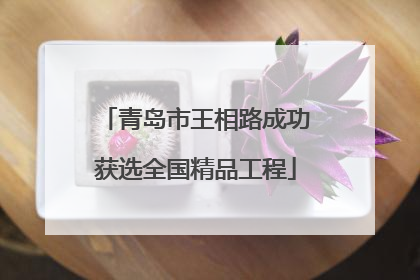 青岛市王相路成功获选全国精品工程