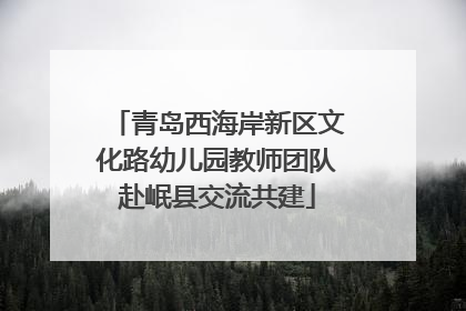 青岛西海岸新区文化路幼儿园教师团队赴岷县交流共建