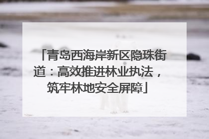 青岛西海岸新区隐珠街道：高效推进林业执法，筑牢林地安全屏障