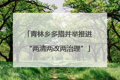 青林乡多措并举推进“两清两改两治理”